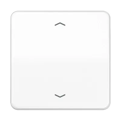 Jung Wippe für Taster BA 1-fach CD590PWW | Jalousie-Schalter | Symbol Pfeile | Duroplast | glänzend | alpinweiß