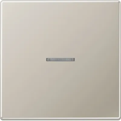 JUNG Wippe Kontrollschalter ES2990KO5 | Edelstahl matt | mit Lichtleiter | für Schalter/Taster | IP44 | 70x70 mm