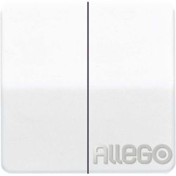 Jung Wippe go-brz für Taster CD 595 GB