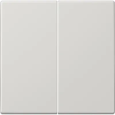 JUNG Wippe für Serienschalter LS995LG | Doppelwippe | Duroplast glänzend | IP44 | lichtgrau RAL 7035