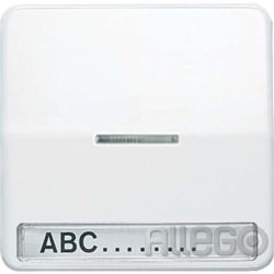 Jung Wippe Licht./Schriftf.aws für Taster CD 590 NAKO5 WW