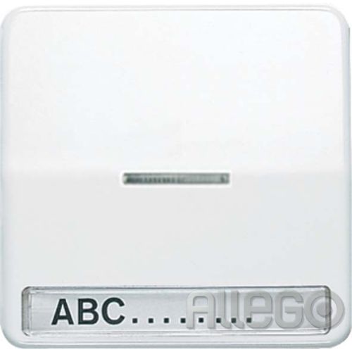 Bild: Jung Wippe Licht./Schriftf.aws für Taster CD 590 NAKO5 WW