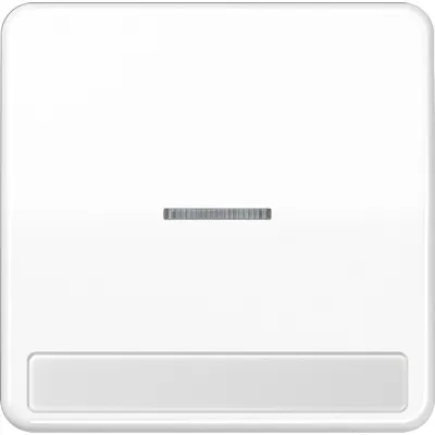 JUNG Wippe CD590NAKO5WW | Kontrollwippe mit Lichtfenster | Duroplast | IP44 | alpinweiß | für Schalter/Taster