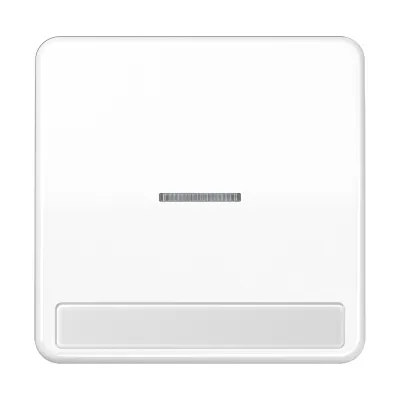 JUNG Wippe CD590NAKO5WW | Kontrollwippe mit Lichtfenster | Duroplast | IP44 | alpinweiß | für Schalter/Taster