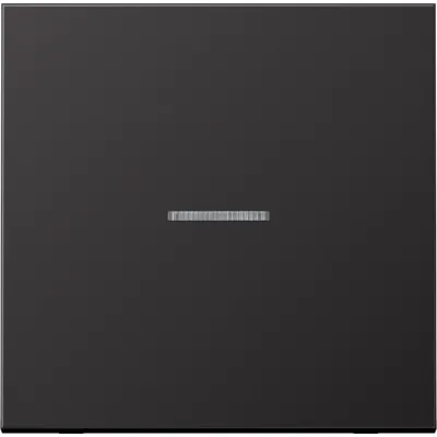 JUNG Wippe AL2990KO5D | Kontrollschalter/Taster | Lichtleiter | Aluminium lackiert matt | 70x70 mm | dark