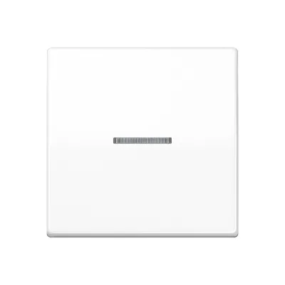 JUNG Wippe AS591KO5BFWW Kontrollschalter | Lichtleiter | bruchsicher | Thermoplast | IP44 | Serie AS500 | alpinweiß
