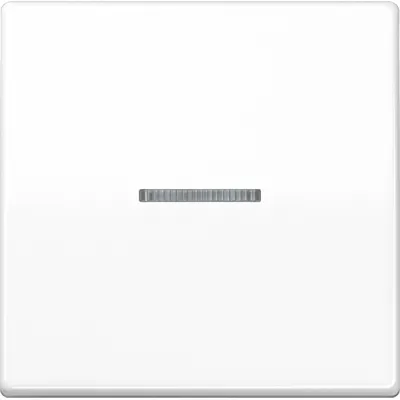 JUNG Wippe AS591KO5BFWW Kontrollschalter | Lichtleiter | bruchsicher | Thermoplast | IP44 | Serie AS500 | alpinweiß