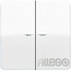 Jung Wippe Lichtleiter aws für Taster CD 595 KO5 WW