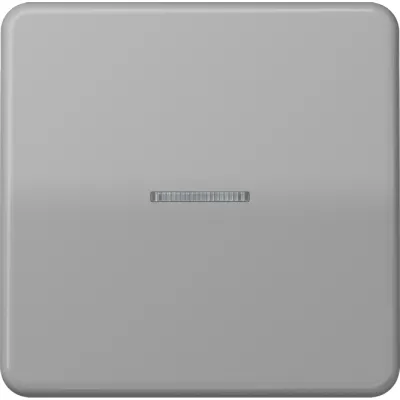 JUNG Wippe CD590KO5GR für Kontrollschalter und Taster | Lichtleiter | Duroplast glänzend | IP44 | grau RAL 7038