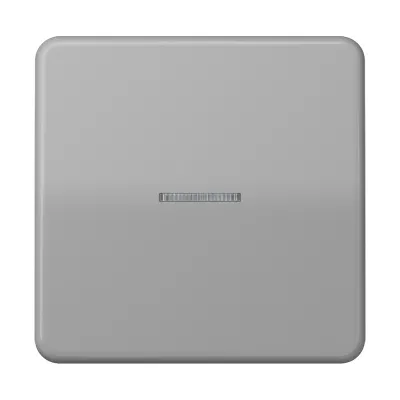 JUNG Wippe CD590KO5GR für Kontrollschalter und Taster | Lichtleiter | Duroplast glänzend | IP44 | grau RAL 7038