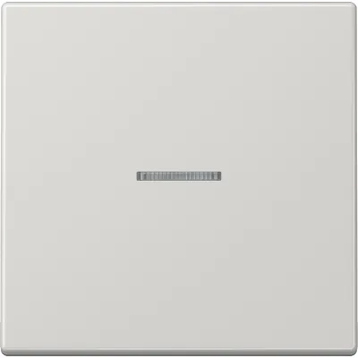JUNG Wippe LS 990 KO5 LG Kontrollschalter | Lichtleiter | 70x70mm | Duroplast glänzend | IP44 | lichtgrau RAL 7035