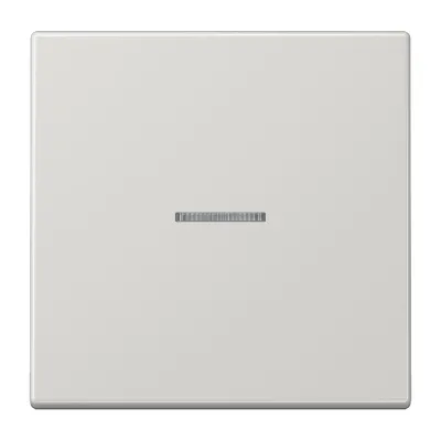 JUNG Wippe LS 990 KO5 LG Kontrollschalter | Lichtleiter | 70x70mm | Duroplast glänzend | IP44 | lichtgrau RAL 7035