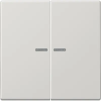 JUNG Wippe Serienschalter LS995KO5LG | Lichtleiter | 2-teilig | Duroplast glänzend | IP44 | lichtgrau RAL 7035