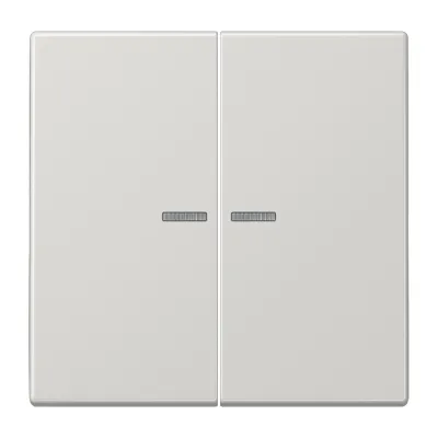 JUNG Wippe Serienschalter LS995KO5LG | Lichtleiter | 2-teilig | Duroplast glänzend | IP44 | lichtgrau RAL 7035