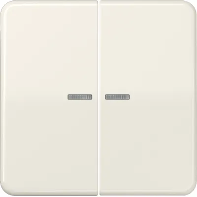 JUNG Wippe CD595KO5 für Serienschalter | Kontrollwippe mit Lichtleiter | Duroplast glänzend | IP44 | weiß RAL 1013