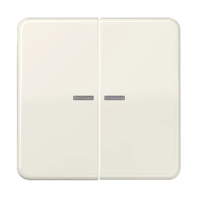 JUNG Wippe CD595KO5 für Serienschalter | Kontrollwippe mit Lichtleiter | Duroplast glänzend | IP44 | weiß RAL 1013