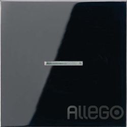 Jung Wippe Lichtleiter ws für Taster LS 990 KO5 SW