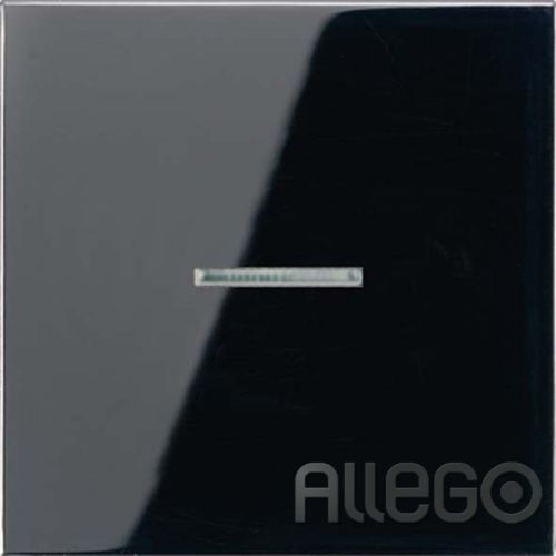 Bild: Jung Wippe Lichtleiter ws für Taster LS 990 KO5 SW