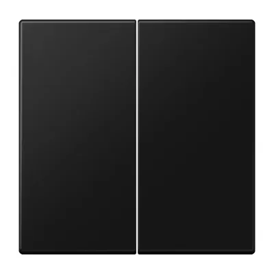 JUNG Wippe für Serientaster LS102SWM | 2-fach KNX Taster | Duroplast matt | 70x70 mm | graphitschwarz