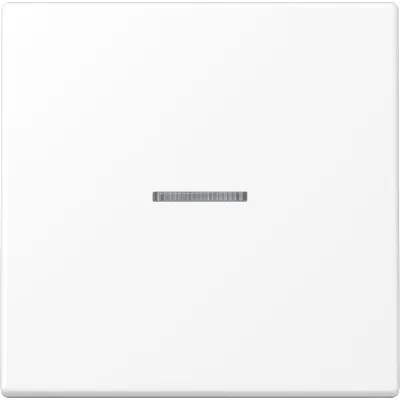 JUNG Wippe LS990KO5WWM für Schalter/Taster | Kontrollwippe | Lichtleiter | Duroplast matt | 70x70 mm | schneeweiß