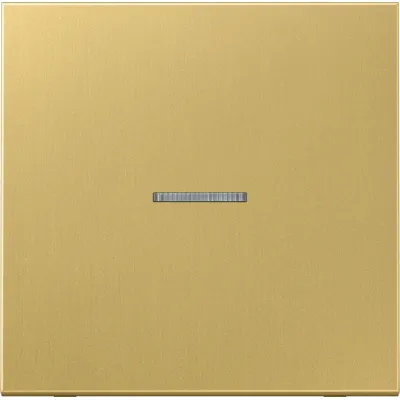 JUNG Wippe Kontrollschalter ME2990KO5C | Messing classic | Lichtleiter | matt | Metall | 70x70 mm | Klemmbefestigung