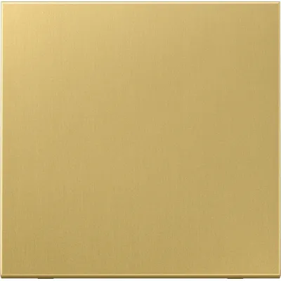 JUNG Wippe ME2990C für Schalter/Taster | Messing Classic | Metall matt | Serie LS | 70x70mm | IP44