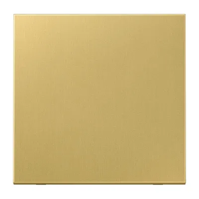 JUNG Wippe ME2990C für Schalter/Taster | Messing Classic | Metall matt | Serie LS | 70x70mm | IP44