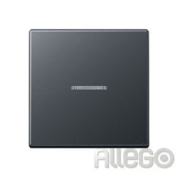 Jung Wippe mit Linse anthrazit matt A 590 BF KO5 ANM