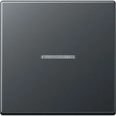 JUNG Wippe A590BFKO5ANM für Schalter/Taster | Lichtleiter | bruchsicher | IP44 | Thermoplast matt | anthrazit