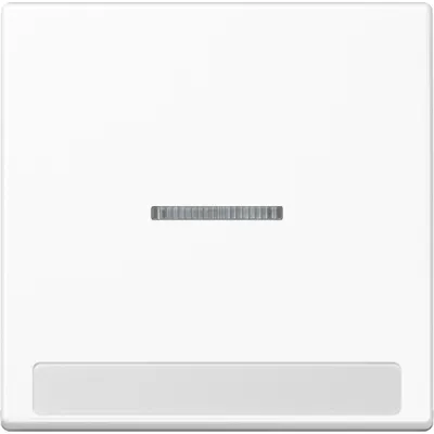 JUNG Wippe A 590 BF NA KO5 WW | Schalterabdeckung | 1-fach | Kontrollwippe | alpinweiß | 55x55 mm | IP44