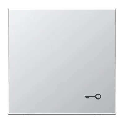JUNG Wippe Taster AL2990T | Symbol Tür | Aluminium matt | Metall | 70x70 mm | IP44 | LS 990 | silber