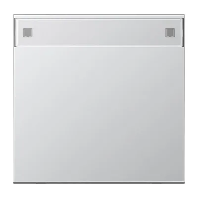 JUNG Wippe AL2990NA | LS-Serie Schalter/Taster | Beschriftungsfeld 12x55mm | Aluminium matt | IP44