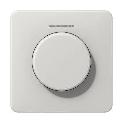 JUNG Wippe mit Schriftfeld CD590NABFWW | bruchsicher | für CD500 Schalter/Taster | IP44 | Thermoplast | alpinweiß