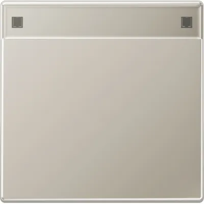 JUNG Wippe ES2990NA für Schalter/Taster | Schriftfeld 12x55 mm | Edelstahl matt | IP44 | Klemmbefestigung | halogenfrei