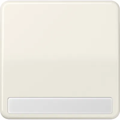 JUNG Wippe CD590NA | Schalter/Taster Abdeckung mit Beschriftungsfeld | Duroplast | glänzend | IP44 | cremeweiß