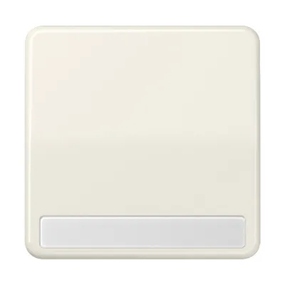 JUNG Wippe CD590NA | Schalter/Taster Abdeckung mit Beschriftungsfeld | Duroplast | glänzend | IP44 | cremeweiß