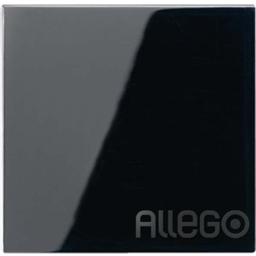 Bild: Jung Wippe sw für Taster A 590 SW