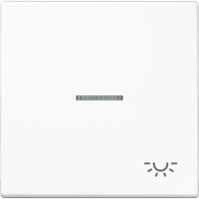 JUNG Wippe LS990KO5LWW | Symbol Licht | Lichtleiter | beleuchtbar | Duroplast | glänzend | IP44 | alpinweiß