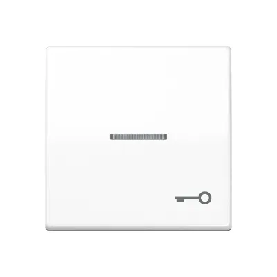 JUNG Wippe AS591KO5TWW | Kontrollwippe Schalter/Taster | Symbol Tür | Lichtleiter | Duroplast | IP44 | alpinweiß