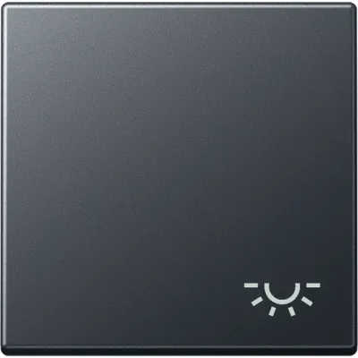 JUNG Wippe Schalter A590BFLANM | Symbol Licht | bruchsicher | anthrazit matt | einteilige Wippe | Thermoplast