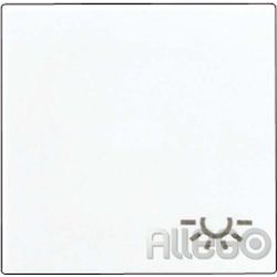 Jung Wippe Symbol LICHT aws für Schalter/Taster A 590 L WW
