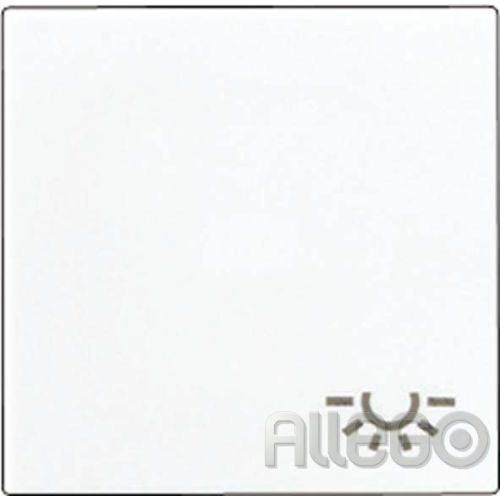 Bild: Jung Wippe Symbol LICHT aws für Schalter/Taster A 590 L WW