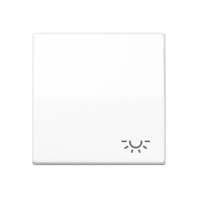 JUNG Wippe AS591LWW | Symbol Licht | Serie AS500 | Duroplast glänzend | IP44 | 55x55 mm | alpinweiß