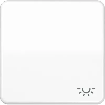 Jung Wippe CD590LWW | Symbol Licht | passend für Schalter/Taster CD 500 Serie | Duroplast glänzend | alpinweiß