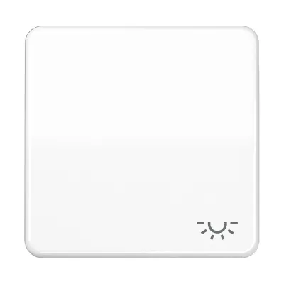 Jung Wippe CD590LWW | Symbol Licht | passend für Schalter/Taster CD 500 Serie | Duroplast glänzend | alpinweiß