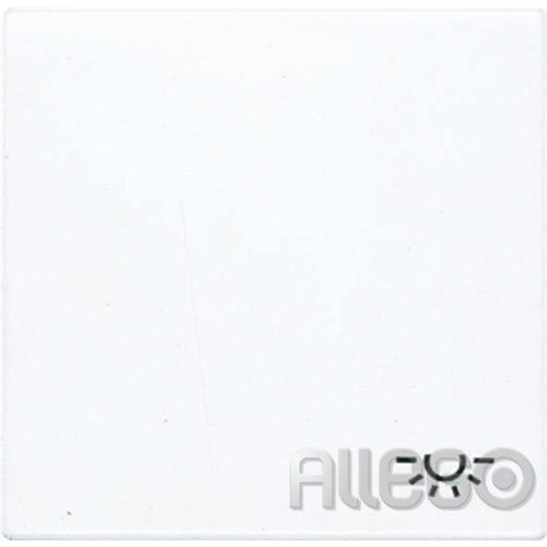Bild: Jung Wippe Symbol LICHT aws für Taster LS 990 L WW