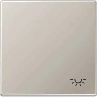 JUNG Wippe ES2990L für Taster/Schalter | Symbol Licht | Edelstahl matt | IP44 | 70x70mm | metall | Farbe Edelstahl