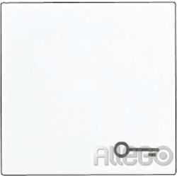Jung Wippe Symbol TÜR aws für Taster A 590 T WW