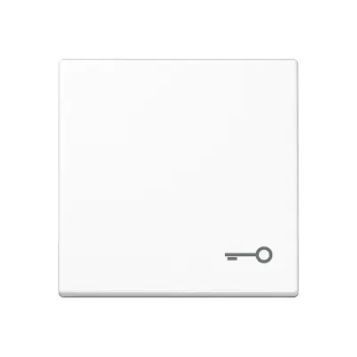 JUNG Wippe A590TWW | Symbol Tür | Schalter/Taster-Einsatz A500 Serie | Duroplast glänzend | IP44 | alpinweiß