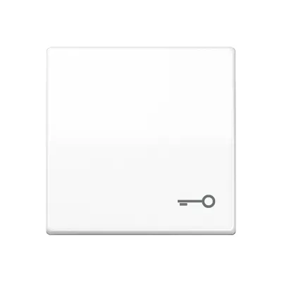 JUNG Wippe AS591TWW | Schalter/Taster Symbol Tür | Duroplast glänzend | Serie AS500 | IP44 | alpinweiß
